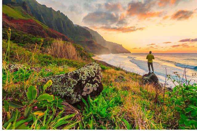 5 Reasons You Should Work in Hawaii | Hawaii Family Dental